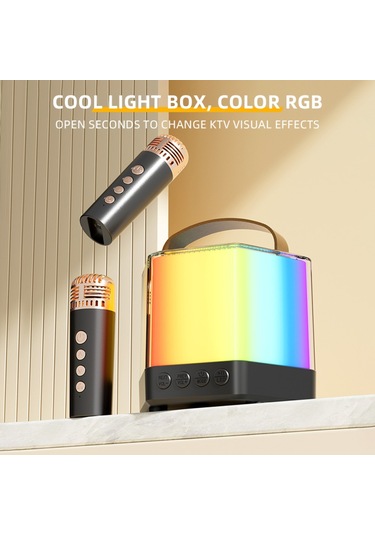 Skycıty Kablosuz Karaoke Ses Sistemi, İki Mikrofonlu