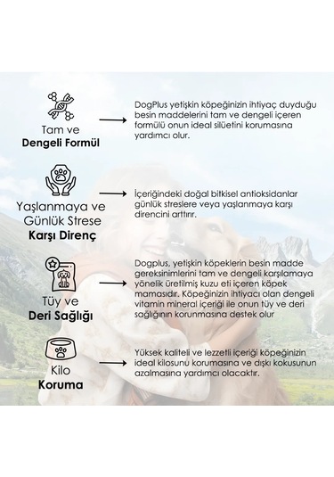 Dogplus Kuzu Etli Pirinçli Yetişkin Köpek Maması 15 KG