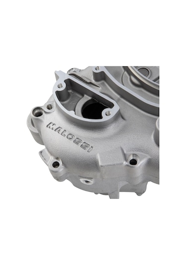 Vespa Px 80-200 Performans Motor Blok 5717245 / Malossı