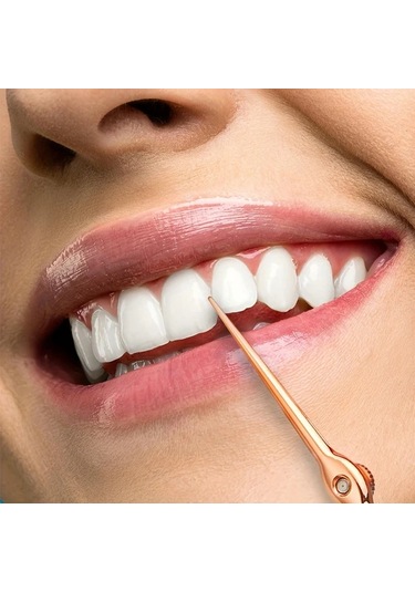 Willowhaven Paslanmaz Çelik Diş İpi Seti, Taşınabilir Yeniden Kullanılabilir Diş İpi Aparatı