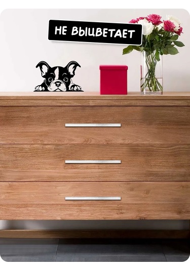 Stadi Dikkat Eden Köpek Etiketi 200702513 Siyah