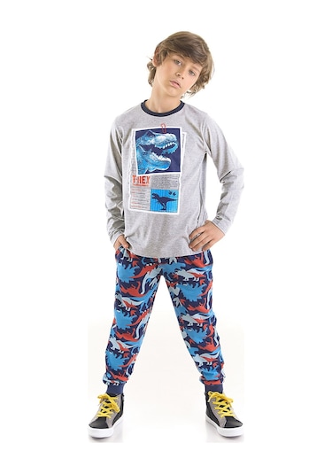 Denokids Mshb&g T-rex Info Erkek Çocuk T-shirt Pantolon Takım Çok Renkli