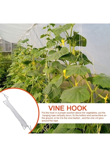 30 Adet Domates Destek Kancası 11,9 M Ipe Sahip