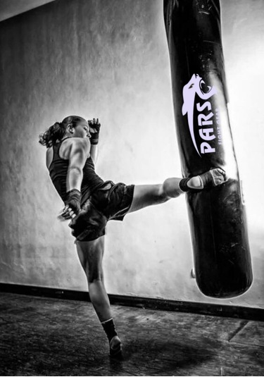 Pars Salon Tipi Profesyonel Boks Torbası Kum Torbası 150 X 40 Cm Siyah