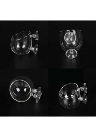 Qingmipy Akvaryum Bitki Suction Cup Cam Tepsisi - Bitki Büyümesi Ve Balık Gizlenme İçin, Işık Ve Hava Akışı Sağlar, Su Kalitesini Artırır