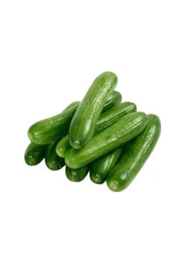 Tohum Salatalık Hıyar Tohumu 25+ Adet Salatalık Tohumu