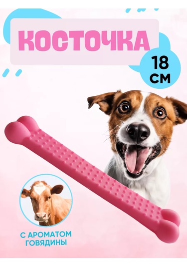 Anticarapki Köpekler İçin Kemik 252801247