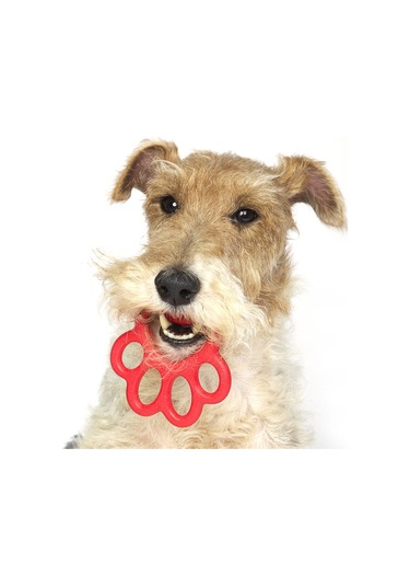 Orma Mini Köpek Oyuncağı Mavi