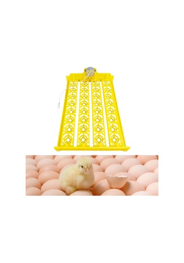 Suntek Otomatik Yumurta Kuluçka Makinesi Turner Tavuk Ac-12v