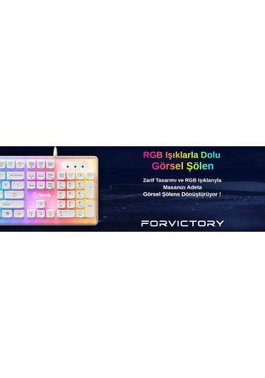 North Paladin Mekanik Hisli Türkçe RGB Gaming Klavye
