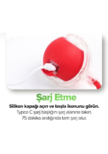 Zekton Kırmızı Akıllı Hareketli Şarjlı 360 Derece Dönebilen Kedi
