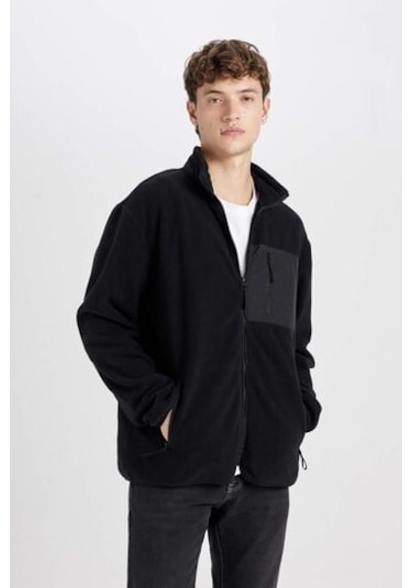 DeFacto Regular Fit Dik Yaka Fermuarlı Cepli Polar Hırka A6892AX24WNBK81 Siyah