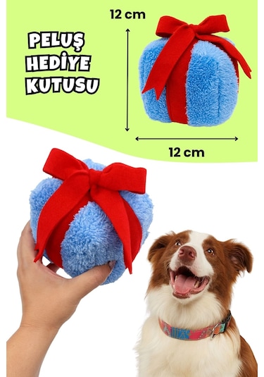 Havhav Köpek Parti Kutusu  5'li Set