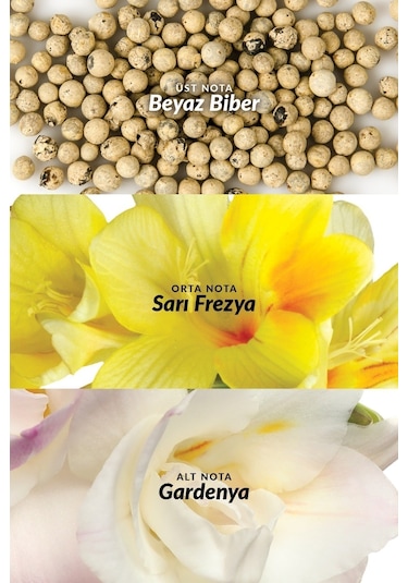 Avon Perceive Kadın Vücut Losyonu 125 ML