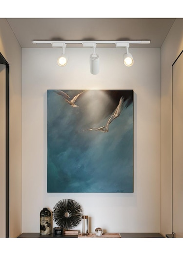 4 Adet Dekoratif Led Ray Spot + 1 Metre Ray Beyaz Kasa Günışığı