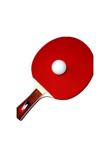 Advance Masa Tenisi Seti - 2 Masa Tenisi Raketi + 3 Pinpon Topu