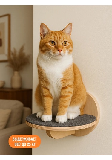 Go Cats Kediler İçin Duvar Tipi Halılıkmlı Raf 430861488