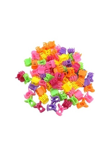 Kadın Renkli 10 Lu Küçük Tırmık Toka