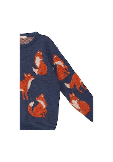 Denokids Mshb&g Tilki Erkek Çocuk Lacivert Triko Kazak Çok Renkli