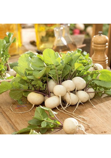 Beyaz Turp Tohumu 1000 Adet