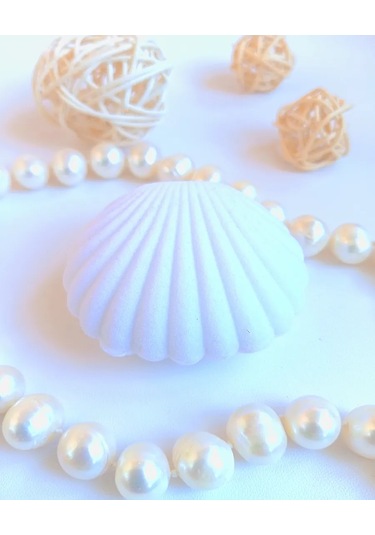 Takı Kutusu 404739699