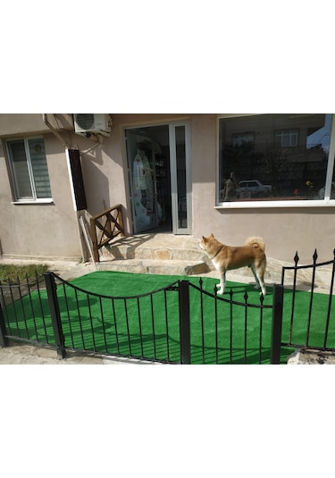 Nurteks Çim Halı Suni Çim Bahçe Havuz Teras Balkon Çim Özel Kesim