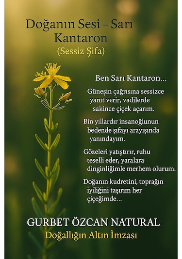 Sarı Kantaron Yağı %100 Saf Doğal Seyreltilmemiş 50 Ml St. John's Wort Oil