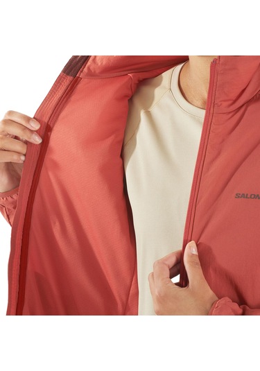 Salomon Mountaın Flex Jacket W Renkli