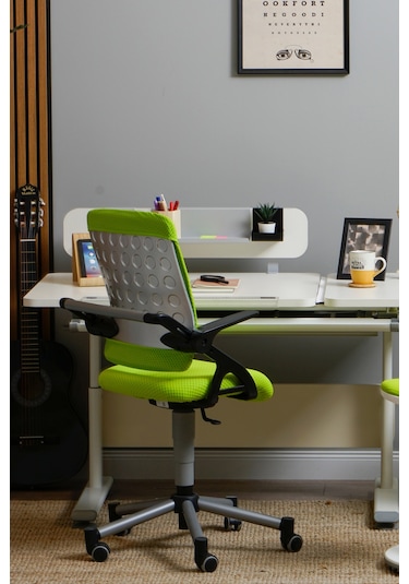 Creo Mobili Yükseklik Ayarlı Vega Plus Çalışma Sandalyesi, Ofis Ve Bilgisayar Koltuğu Yeşil/yeşil Gri