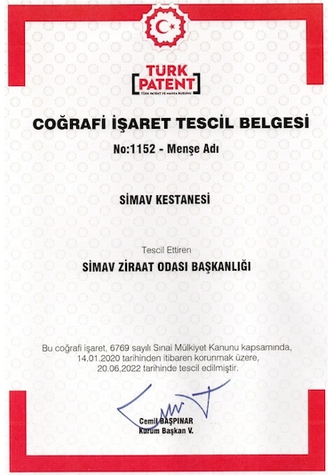 Simav Synaus Kestane Özlü ve Termal Sulu Şampuan 5 L