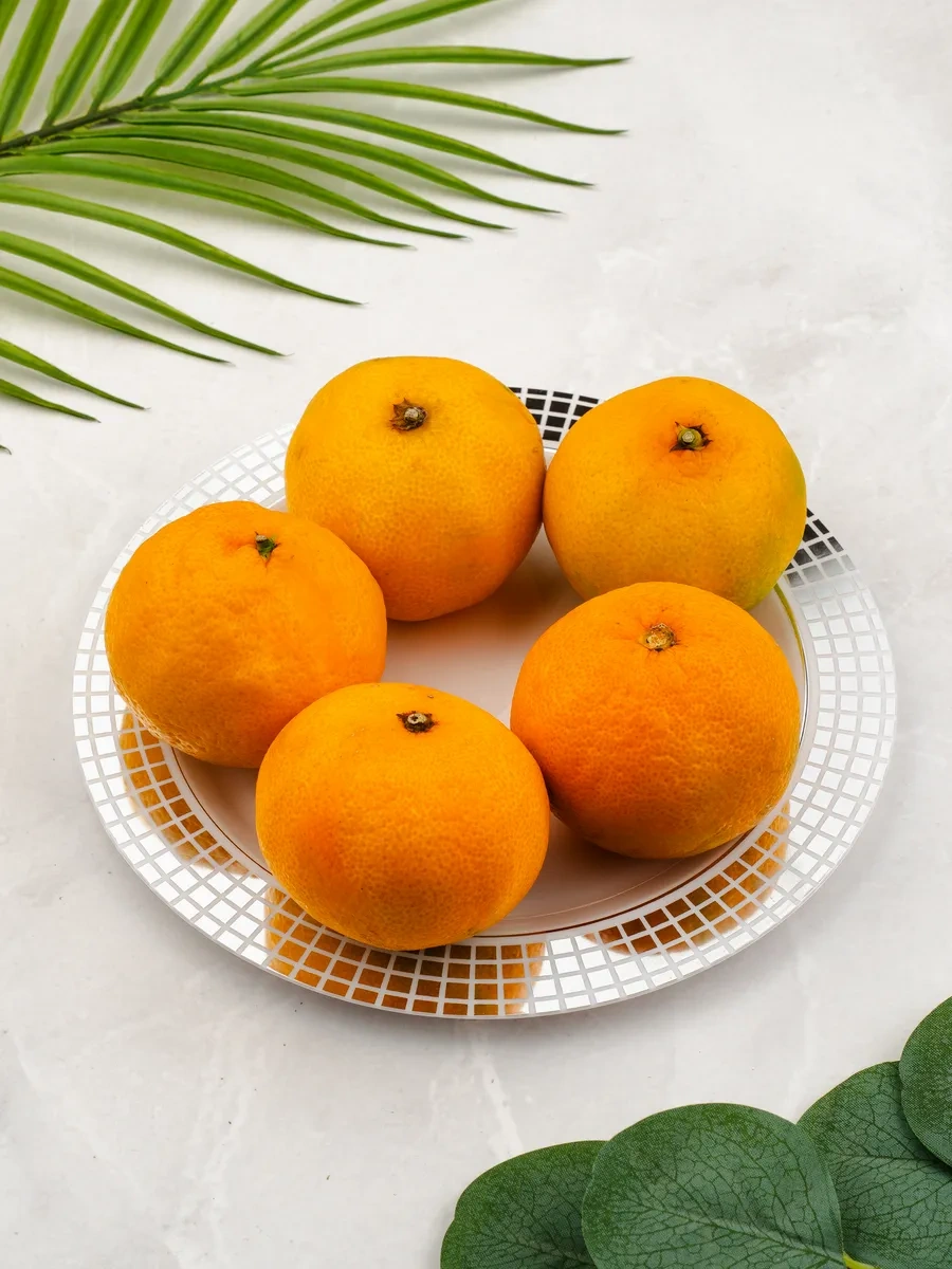 Plastcup Tek Kullanımlık Plastik Tabaklar 20 Adet 234159852 100 adet