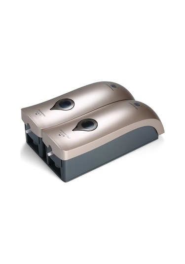 Leezsing Chuangdıan 300ml 2 Delme Yok Duvara Monte Çift Başlıklı Manuel Sabunluk Banyo Duş Jeli Sıvı Şampuan Dağıtıcı Tutucu--şampanya Altını