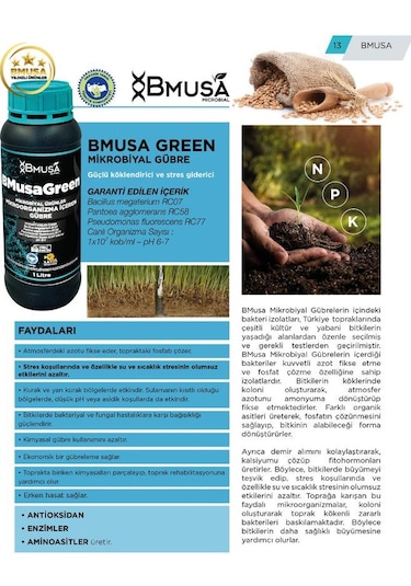 Bmusa Green 1 Lt Mikrobiyal Gübre 1 L