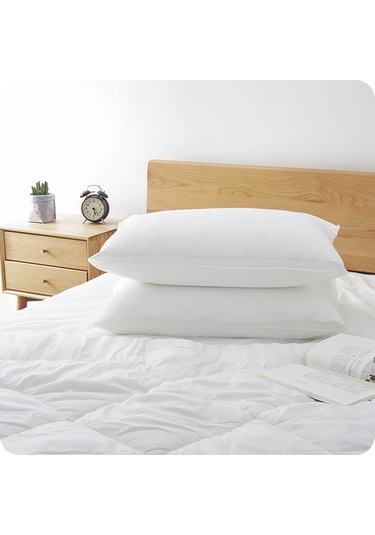 Ranyeek Seyahat İçin Tek Kullandım Atılan Vakumlu Yastık Kılıfı - Hijyenik Otel Konaklama Koruyucu, Yumuşak Tekstil Malzeme, Taşınması Kolay 1 Adet Paket Diğer