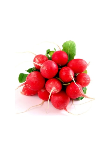 Yerli Kırmızı Fındık Turp Tohumu 50 Adet Tohum + Spriz Toh