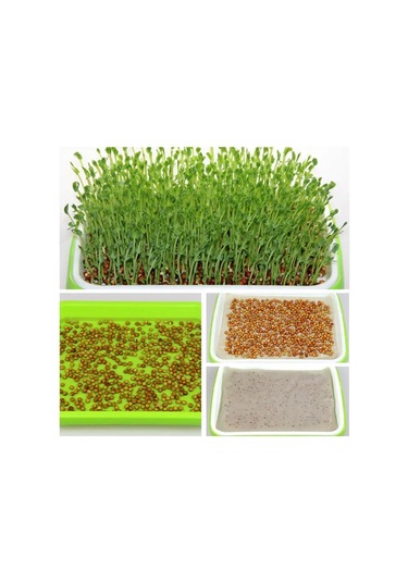 Dofolink Farmer Tema Tohum Fıstıklı Bitki Yetiştirme Seti - Hidroponik Microgreen Seracık, Sağlıklı Yeşillikler İçin Gıda Grade Plastik, Yeşil/beyaz