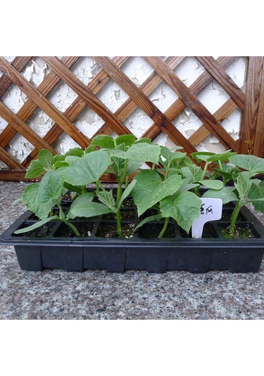 Tohum Başlatma Tepsisi Bitki Başlatma Tepsileri 5 Paket 120 Hücre Üretici Bitki Ekimi Çimlenme Tepsisi Bitki Etiketleri İle Fideler Araçları