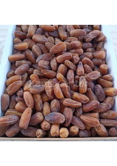 Toptan Lüks Tunus Hurma Deglet Nour 5 Kg 5 KG