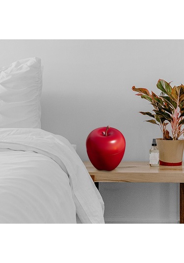 Homyl 3x Küçük Plastik Meyve Kapları Sevgililer Günü Kırmızı