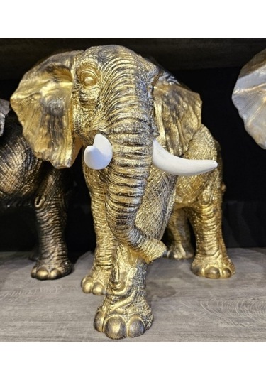 Dekoratif Fil Biblo Gold-cengizhan Unaler