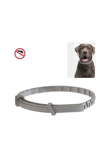 Pet Pire Ve Anti-bit Yaka Pet In Vitro Böcek Kovucu Yüzük, Boyut: Küçük Köpek / 38cm