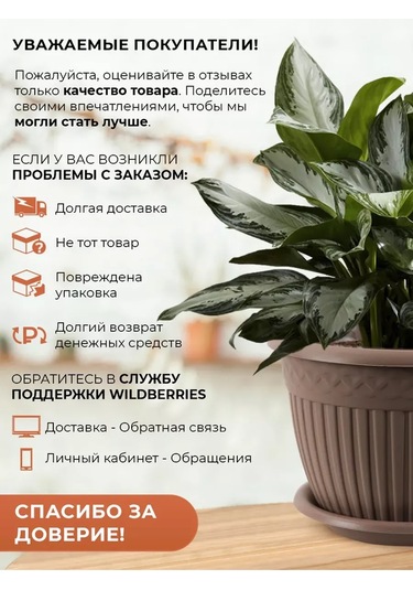 La Decoro İç Mekan Çiçekleri İçin Saksı, Çiçek Saksısı, Saksı 351230822