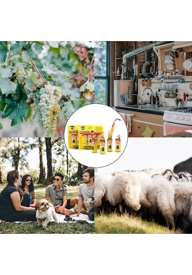 Springsun Yapışkan Sinek Şeritleri - 24'lü Paket, Ev, Bahçe Ve Mutfak İçin Etkili Sinek Tuzağı