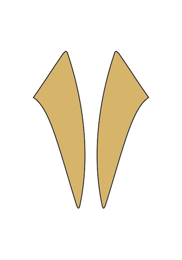 Cg Gold Çamurluk Yan Sticker