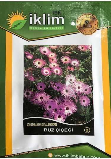 Buz Çiçeği Tohumu2 N117277