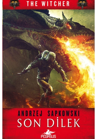 Son Dilek - The Witcher 1