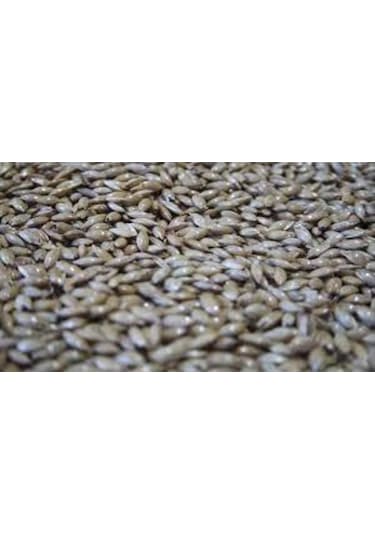 Aktar Store İnce Sivri Kuş Yemi 100 Gr