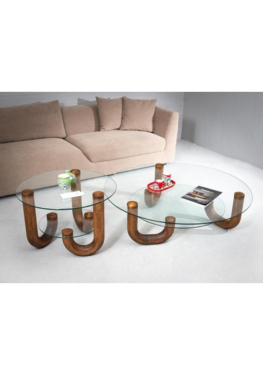 Rehome  Elle Yan Sehpa