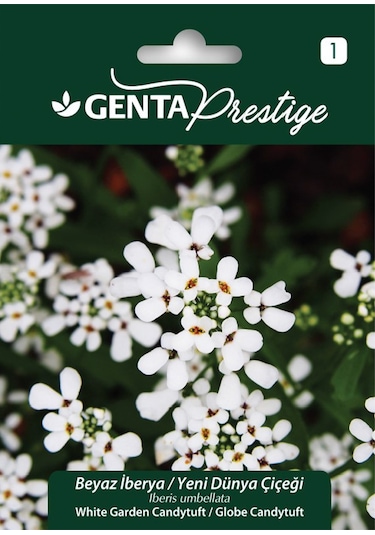 Genta - Beyaz İberya Çiçek Tohumu