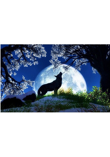 Yaozixa 5d Elmas Boyama Seti - 30x40cm Duvar Dekoru İçin Tam Kaplama Dıy Tablo Diğer